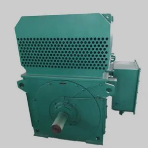 L.T Electric Motor