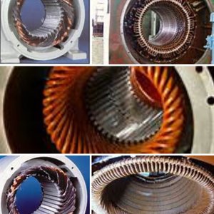 L.T Electric Motor