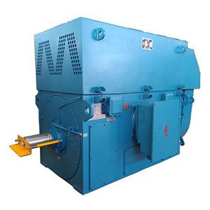 Squirrel Cage Electric Motor