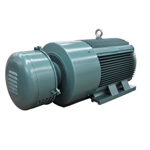 Squirrel Cage Electric Motor