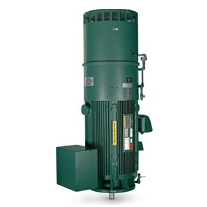 Vertical Electric Motor