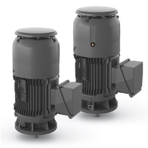 Vertical Electric Motor