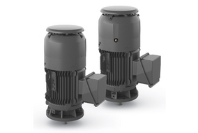 Vertical & Flange Motors